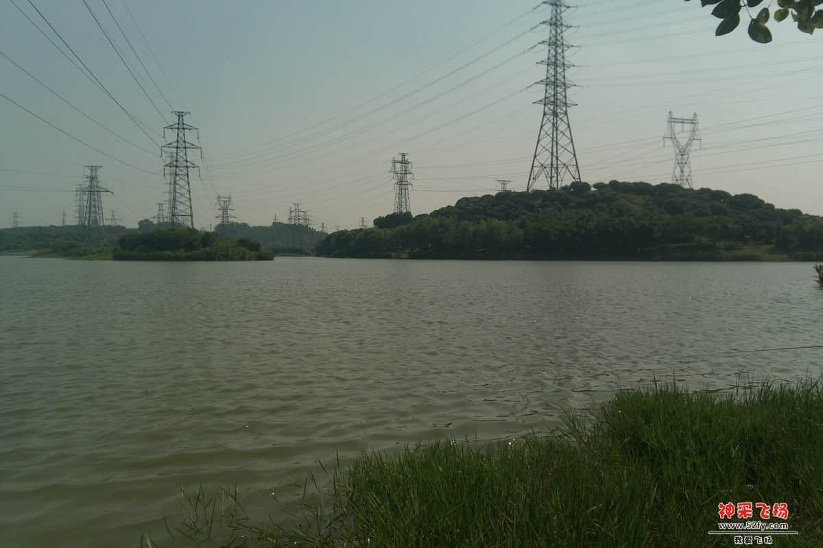 IMAG0029.jpg