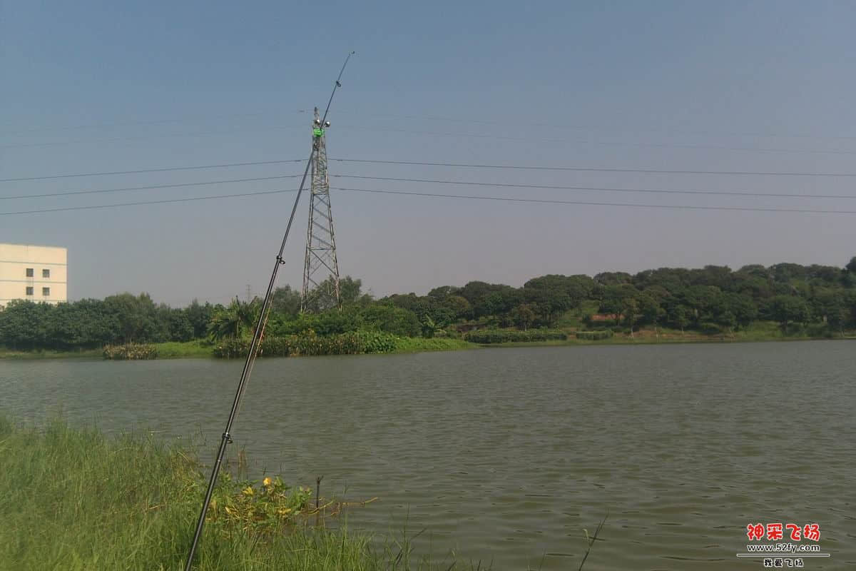 IMAG0031.jpg