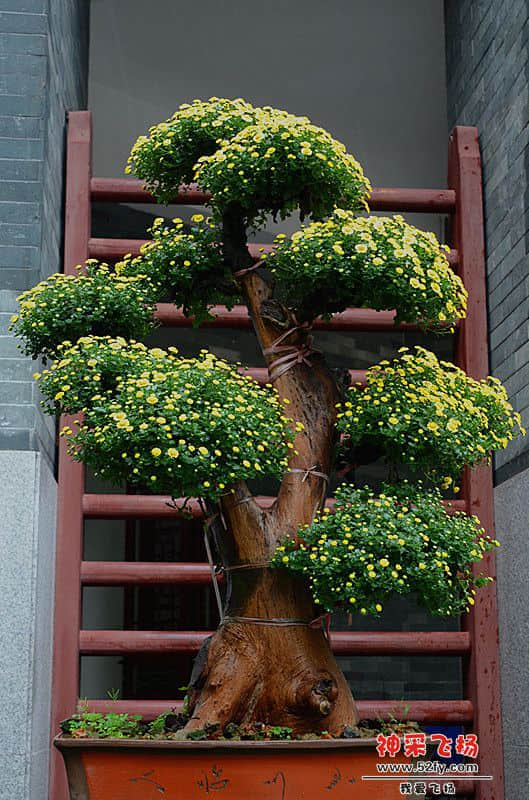 DSC_1435_副本.jpg