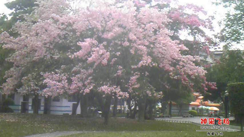 Image408.jpg