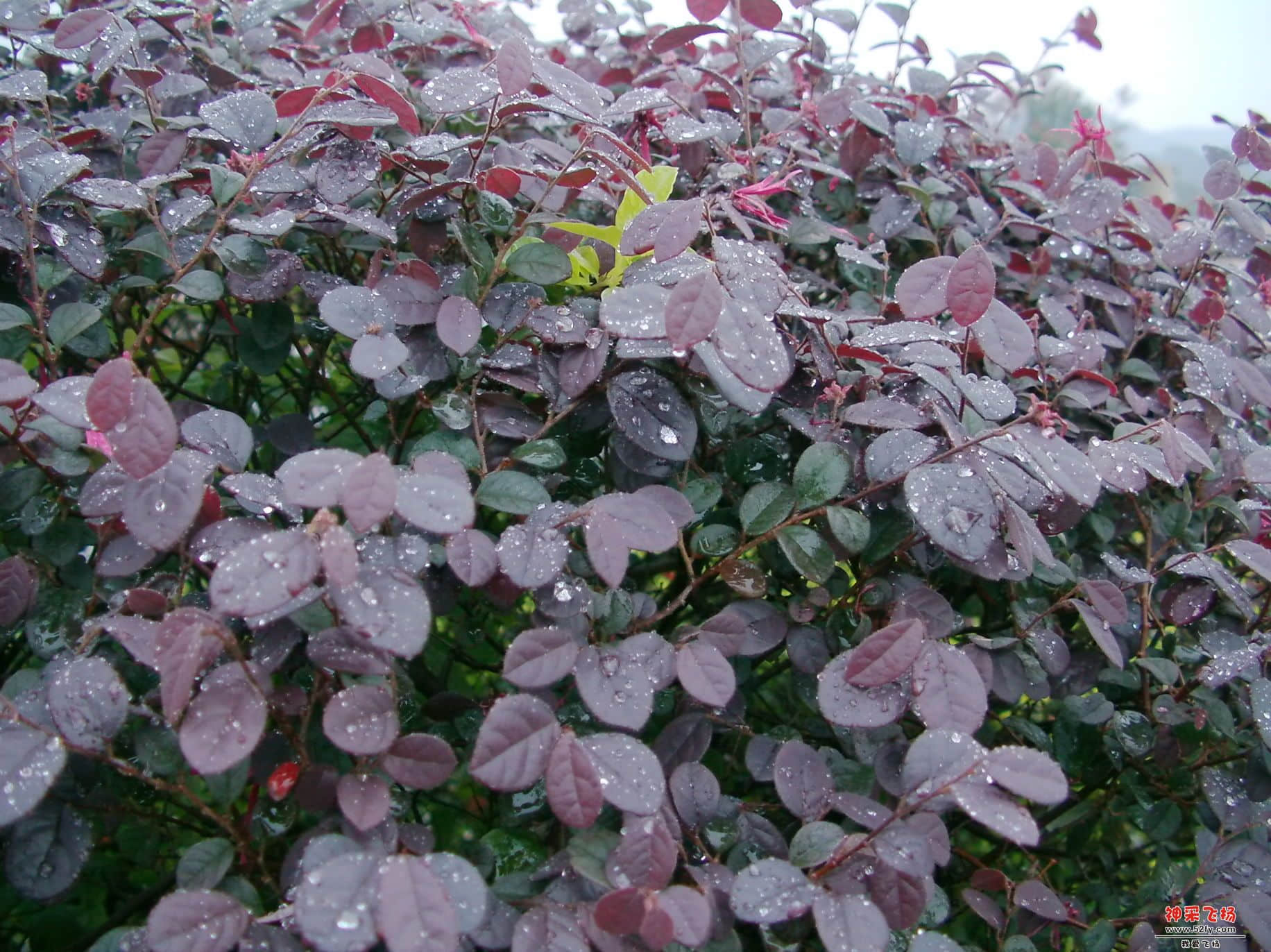 FILE0104.JPG