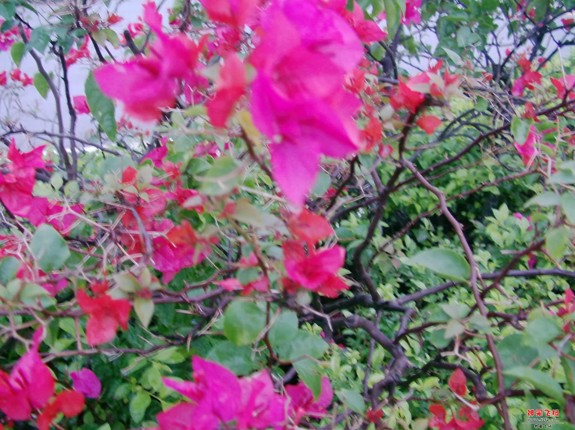 FILE0103.JPG
