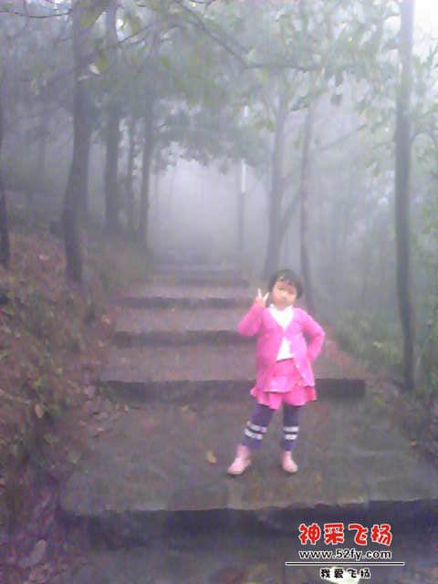 Image444.jpg