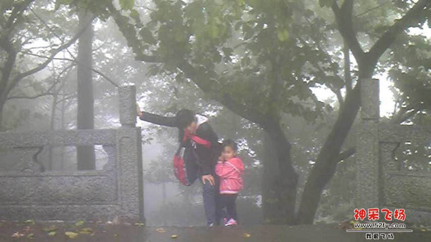 Image447.jpg