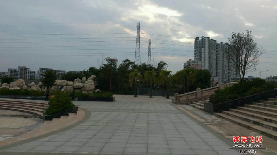 DSC_1339.jpg