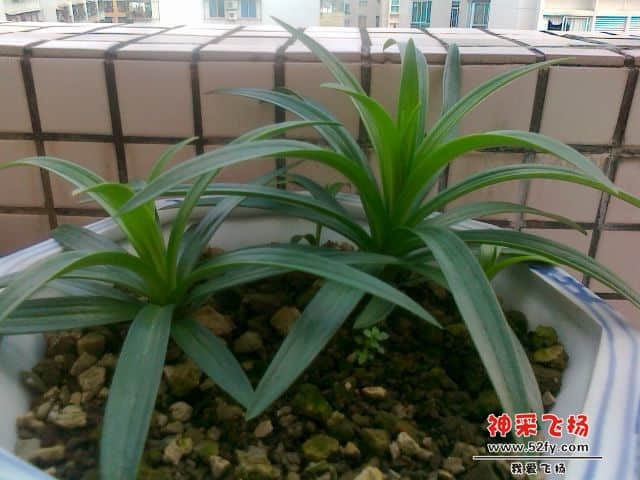 20121208735.jpg