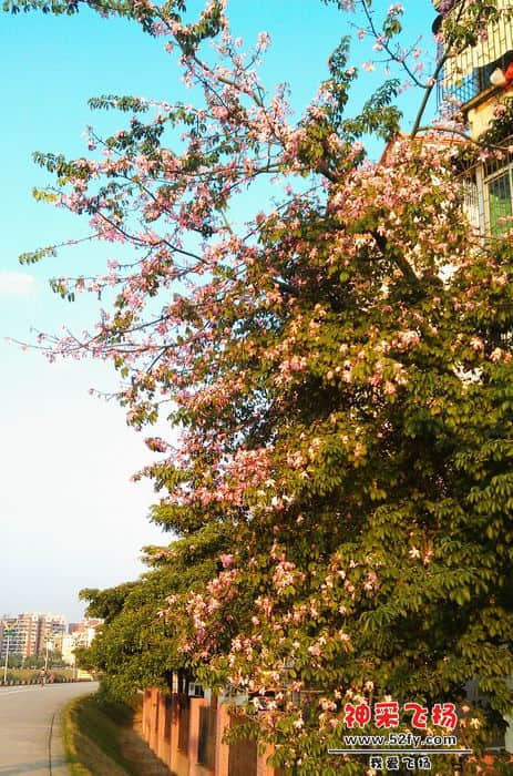IMAG0476.jpg