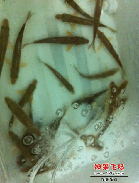烟花场.jpg