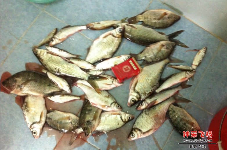 水尾2.jpg