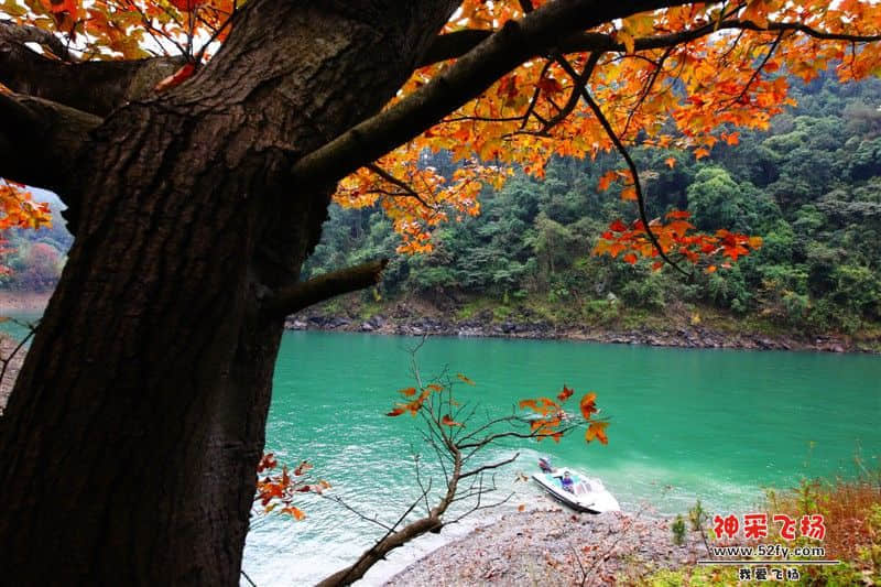 流溪梅花节7.jpg