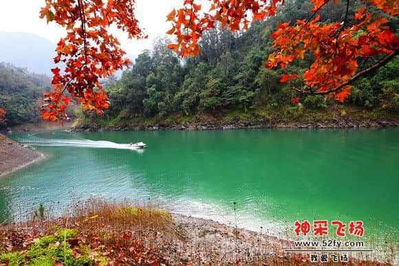 流溪梅花节8.jpg