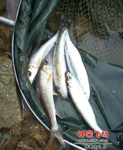 QQ截图20121221205100.jpg
