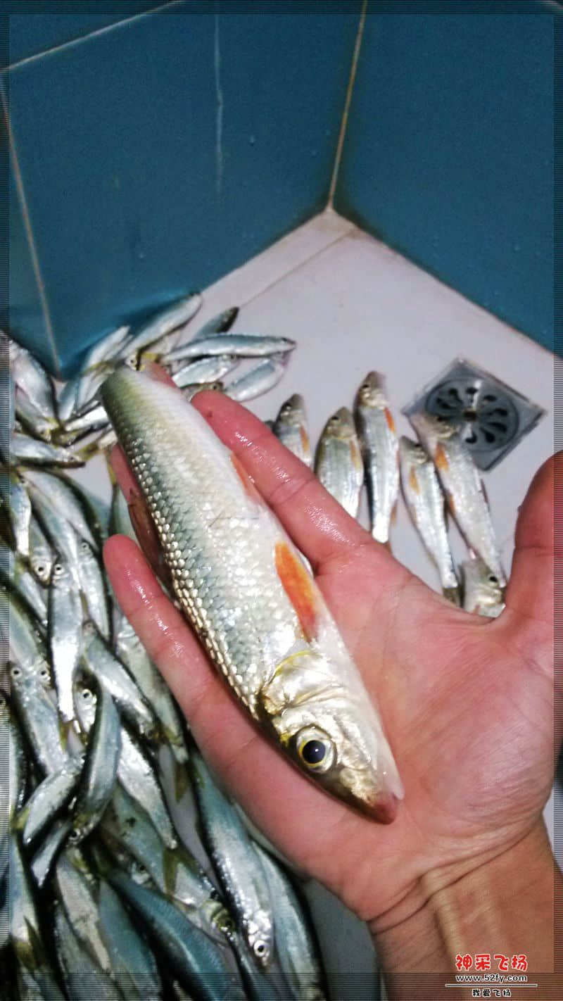 06.jpg