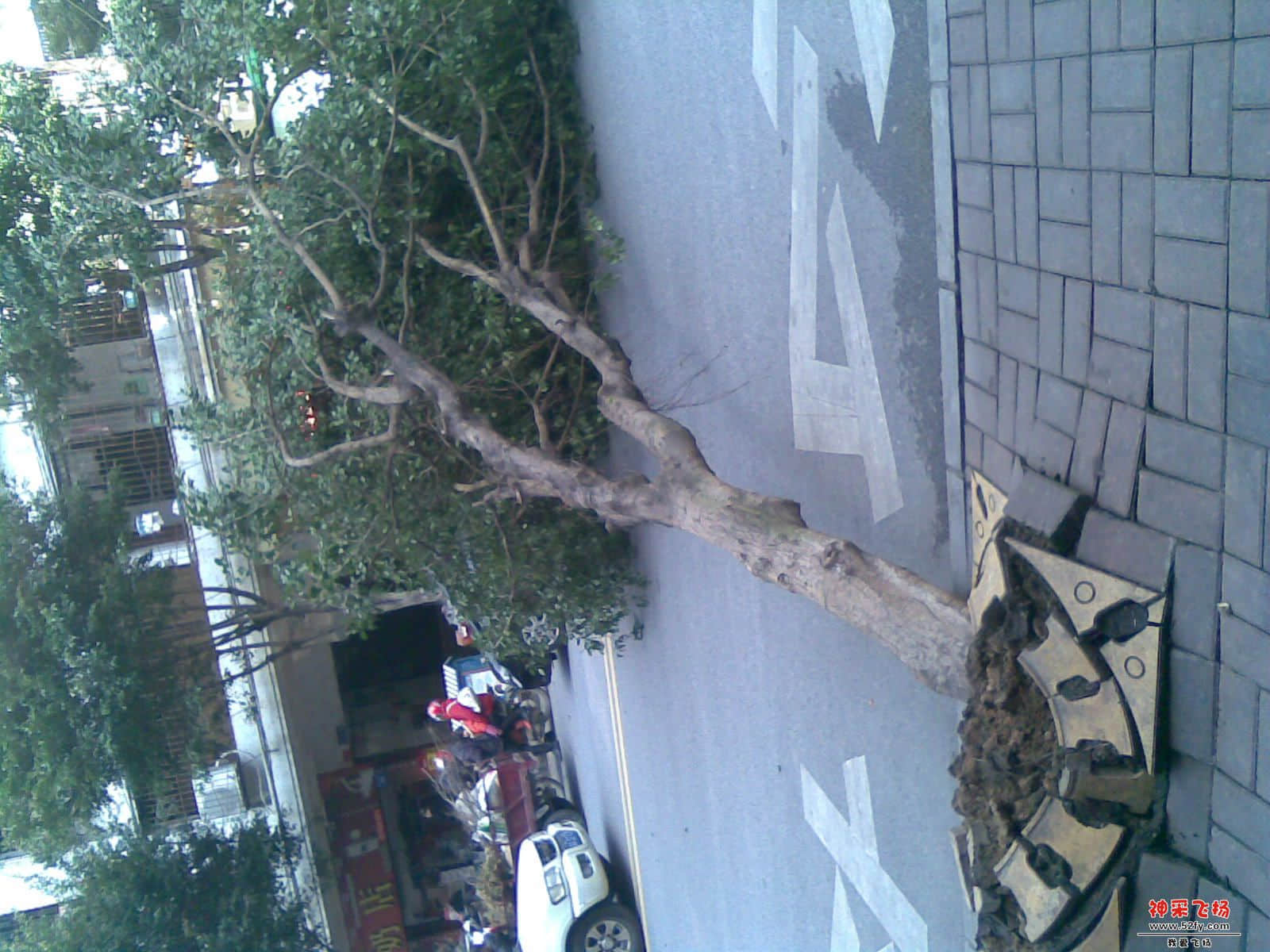 20121230.jpg