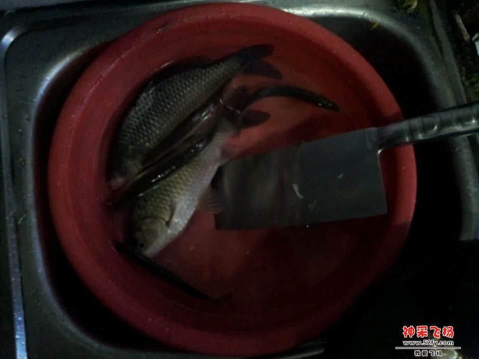20121229_170904.jpg