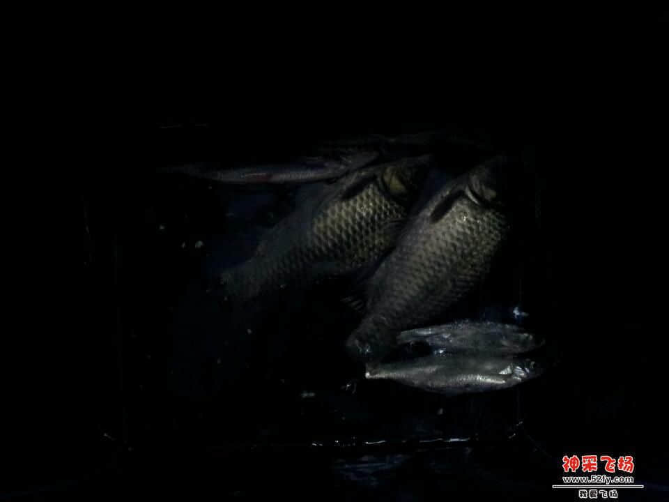 20121229_170357.jpg