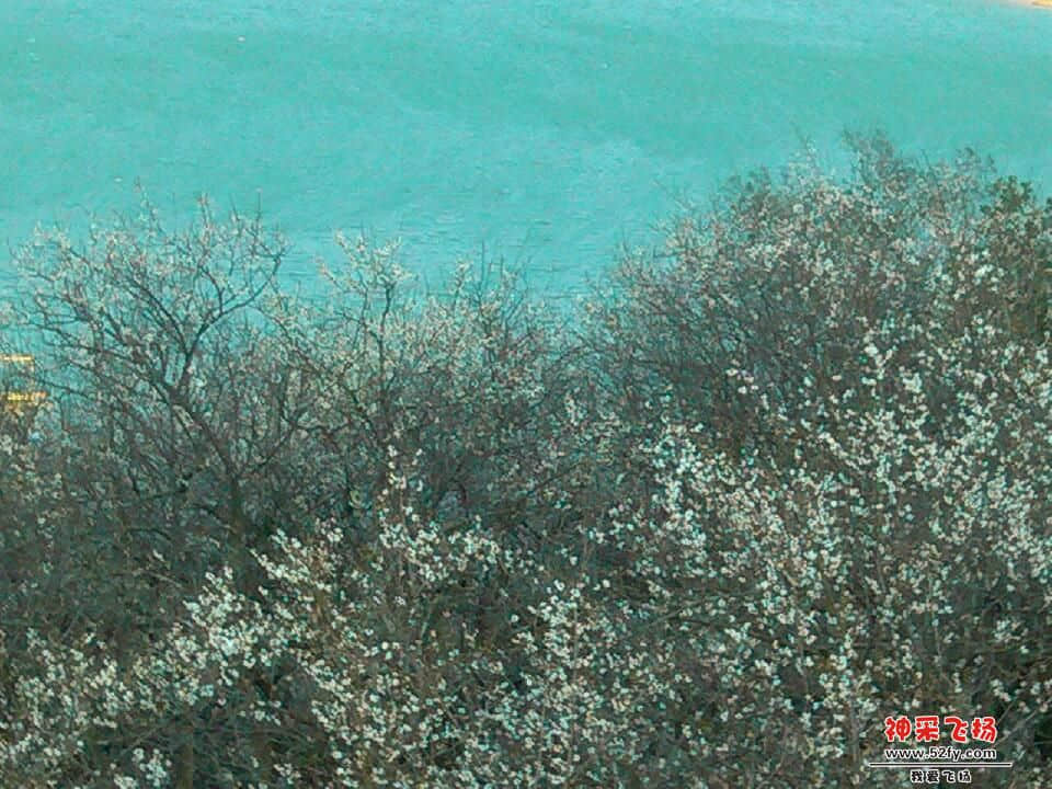 IMG_20121230_153158.jpg