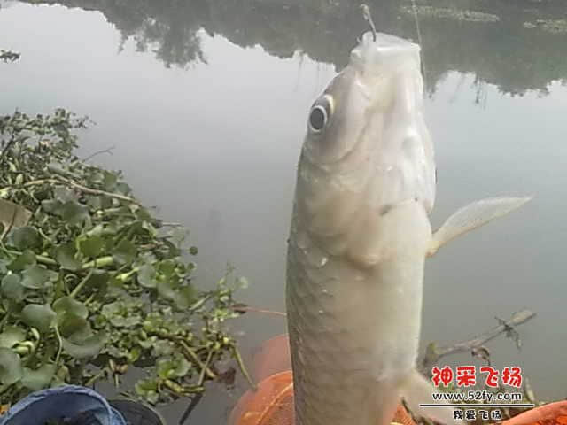 照片 010.jpg