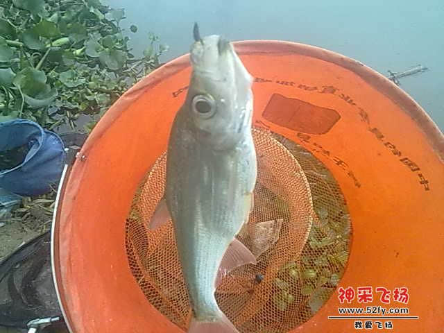照片 011.jpg