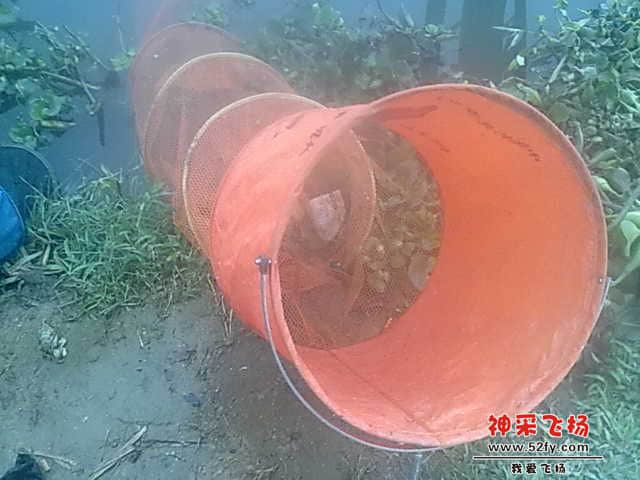 照片 012.jpg