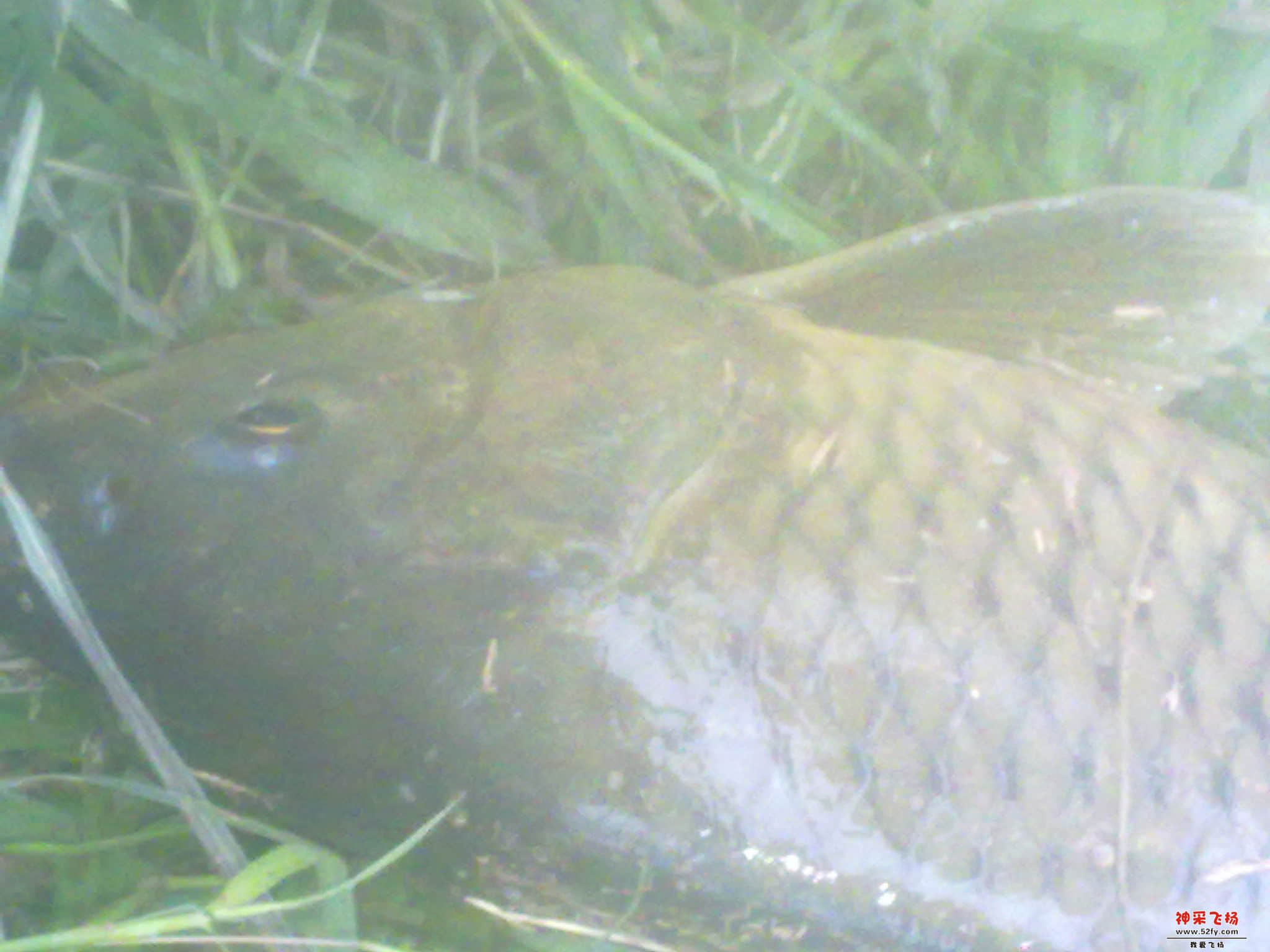 照片 014.jpg