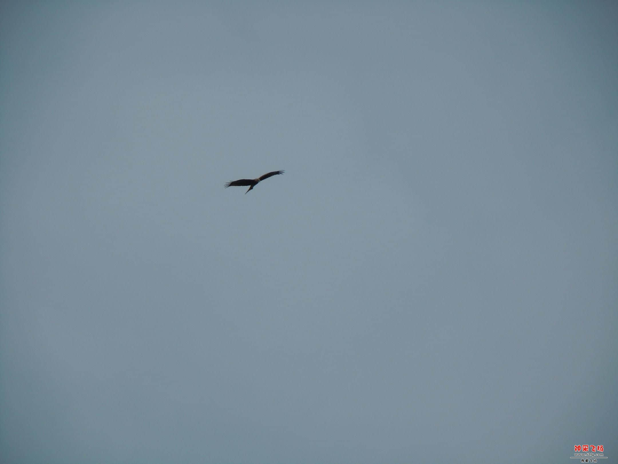 IMGSRC_20130104132803_7.jpg