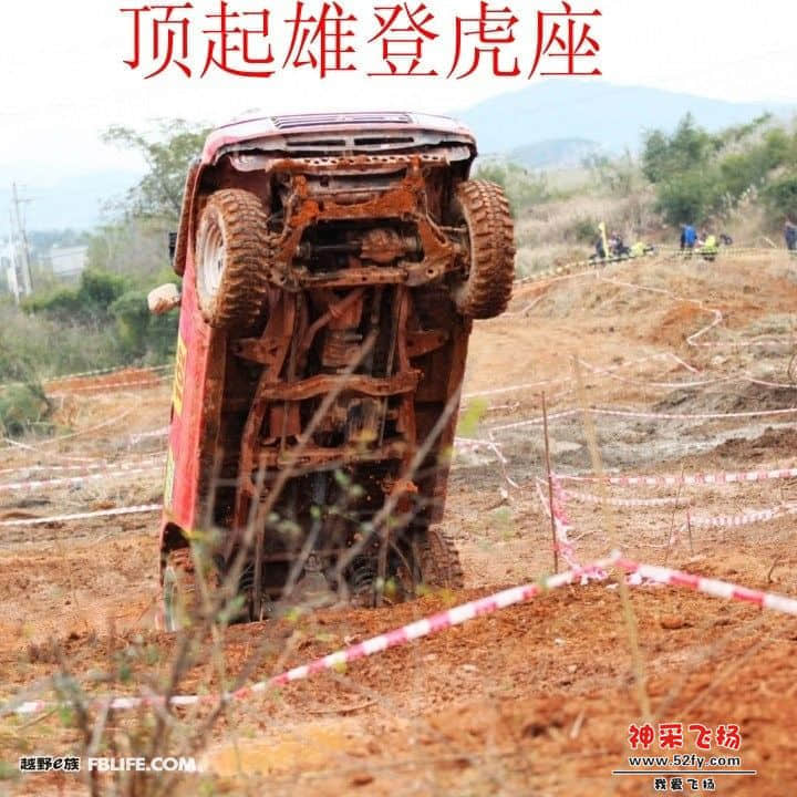 顶.jpg