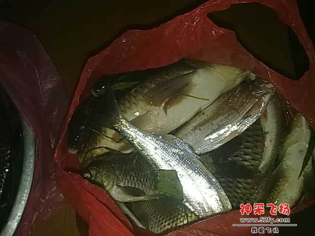 20130104522.jpg