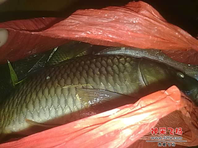 20130104525.jpg