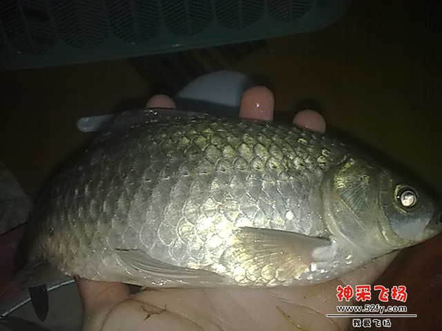 20130104528.jpg