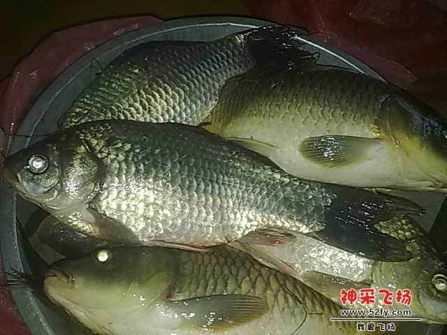 20130104530.jpg
