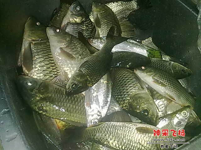 20130104531.jpg