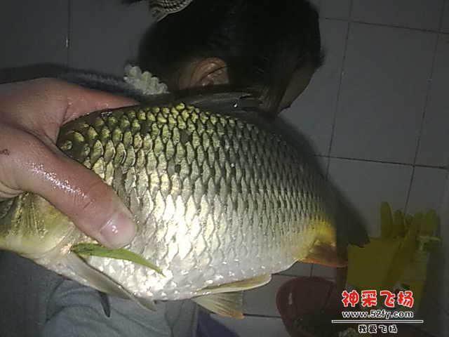 20130104534.jpg