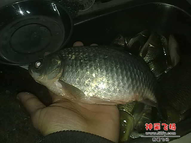 20130104537.jpg