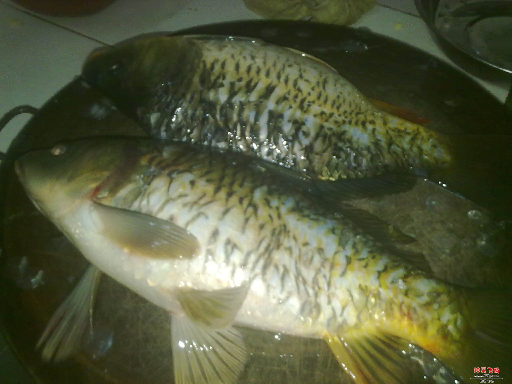 20130104543.jpg