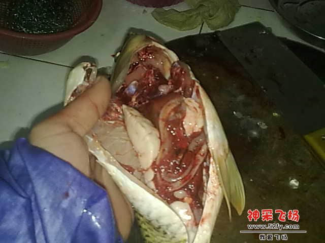20130104546.jpg