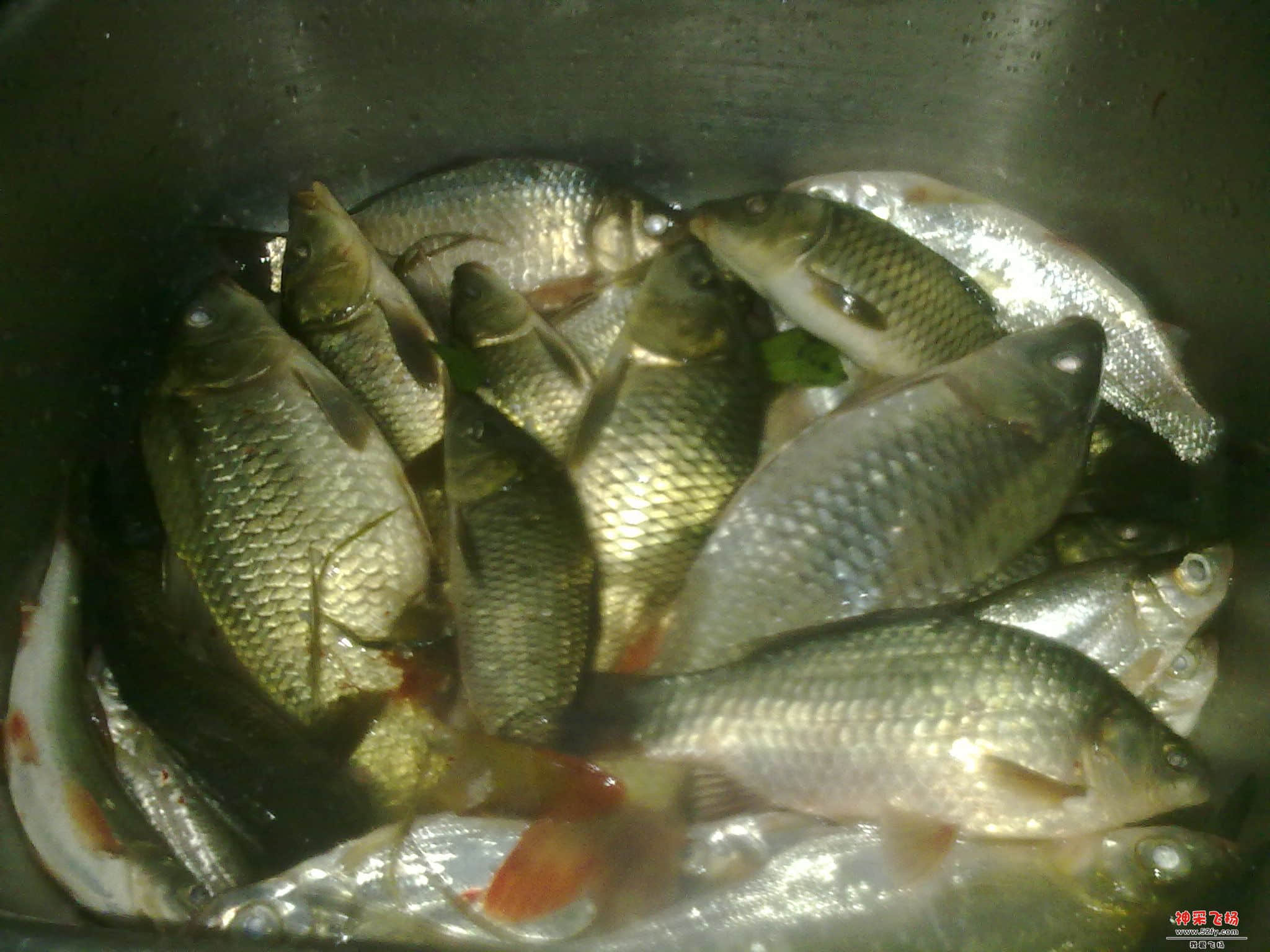 20130104556.jpg