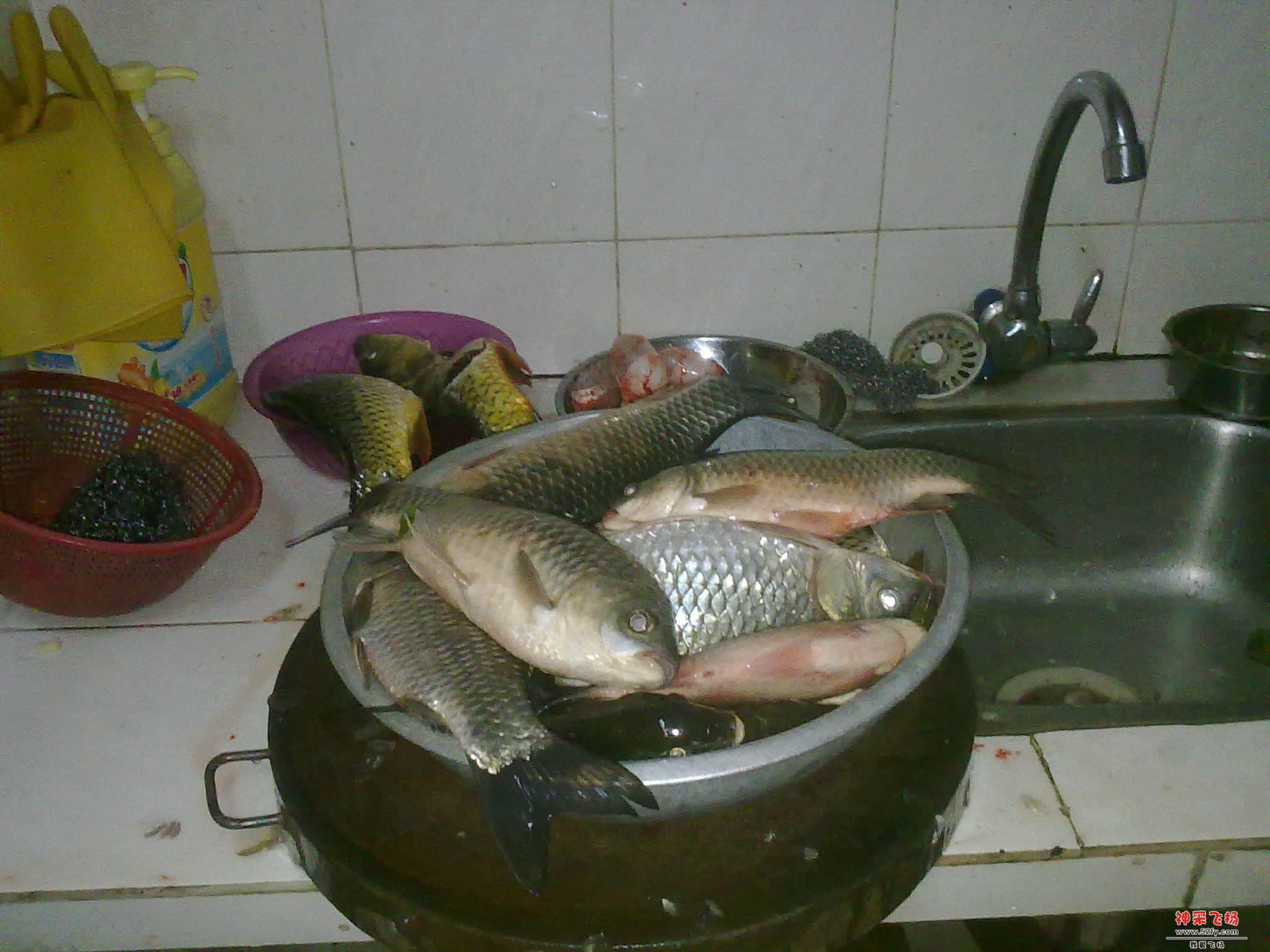 20130104559.jpg