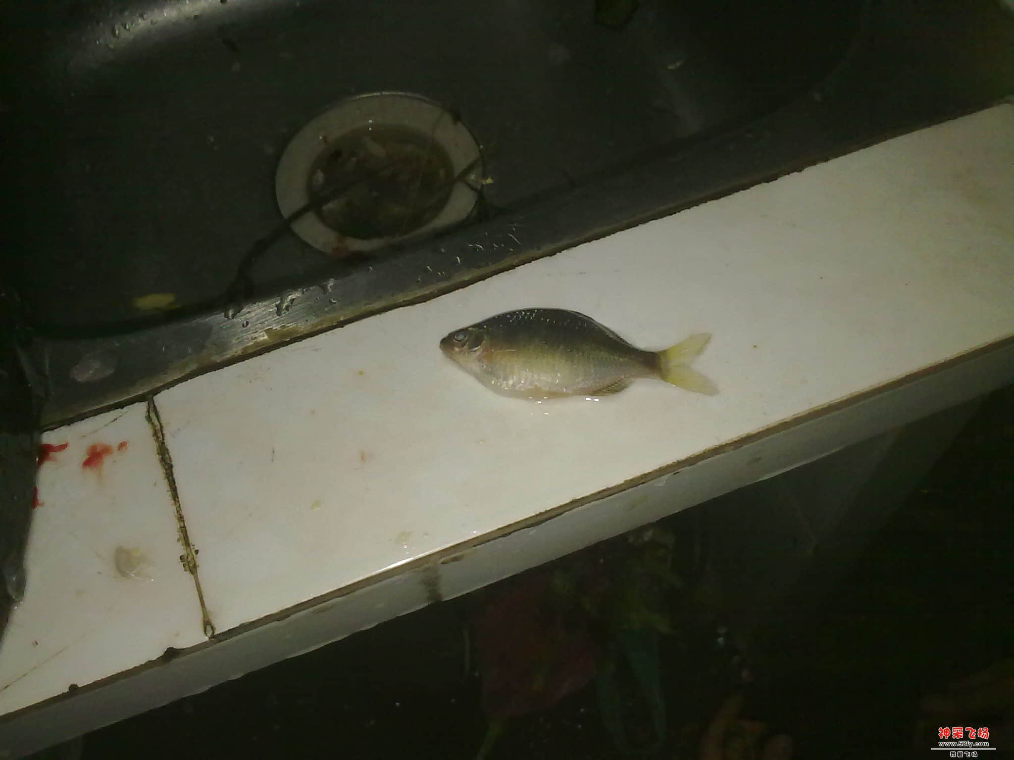 20130104565.jpg