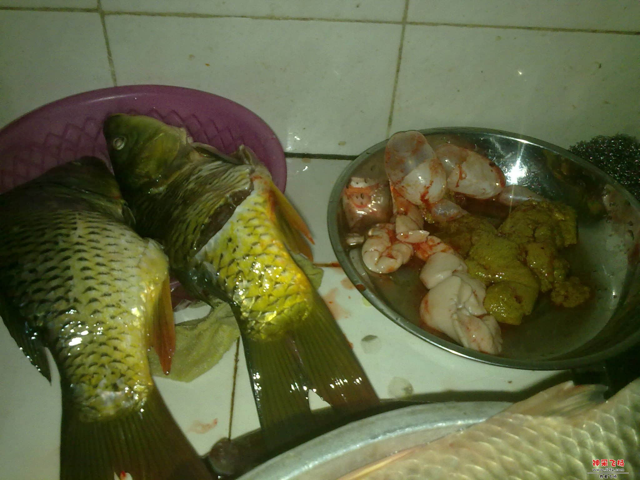 20130104566.jpg