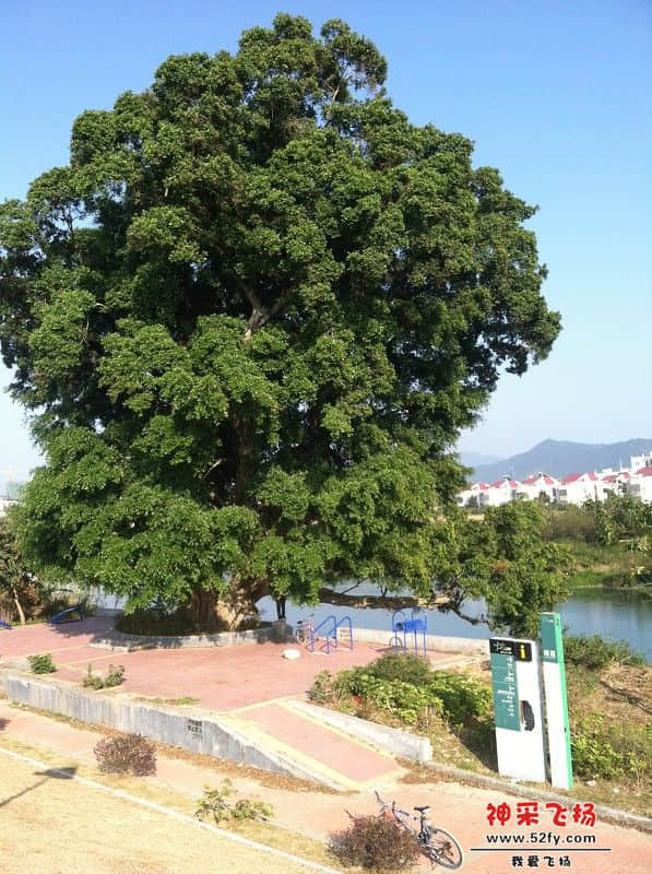 25.jpg