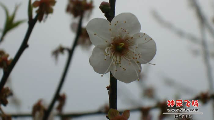 nEO_IMG_DSC09647.jpg