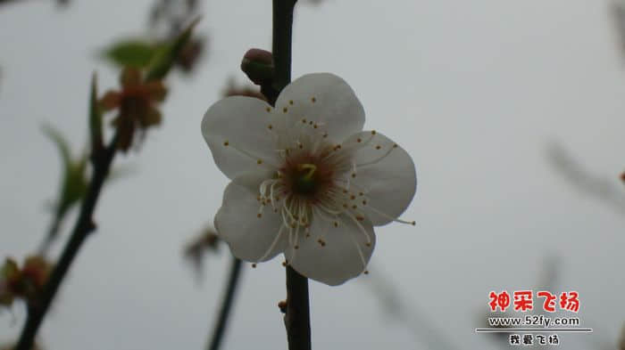 nEO_IMG_DSC09648.jpg
