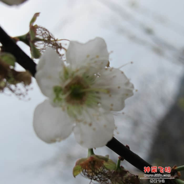 nEO_IMG_IMG_1191.jpg