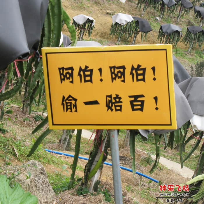 nEO_IMG_IMG_1164.jpg