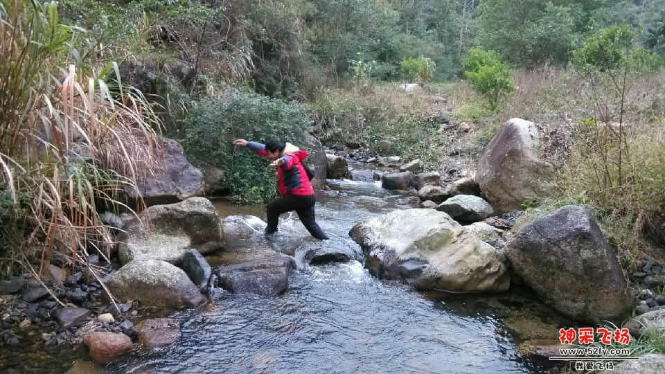 IMG_20130120_131101.jpg