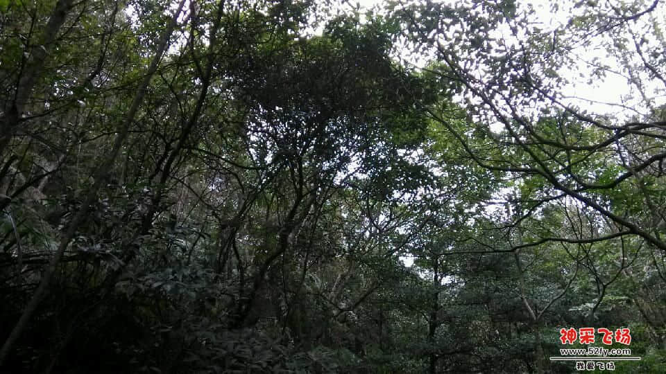 IMG_20130120_131629.jpg