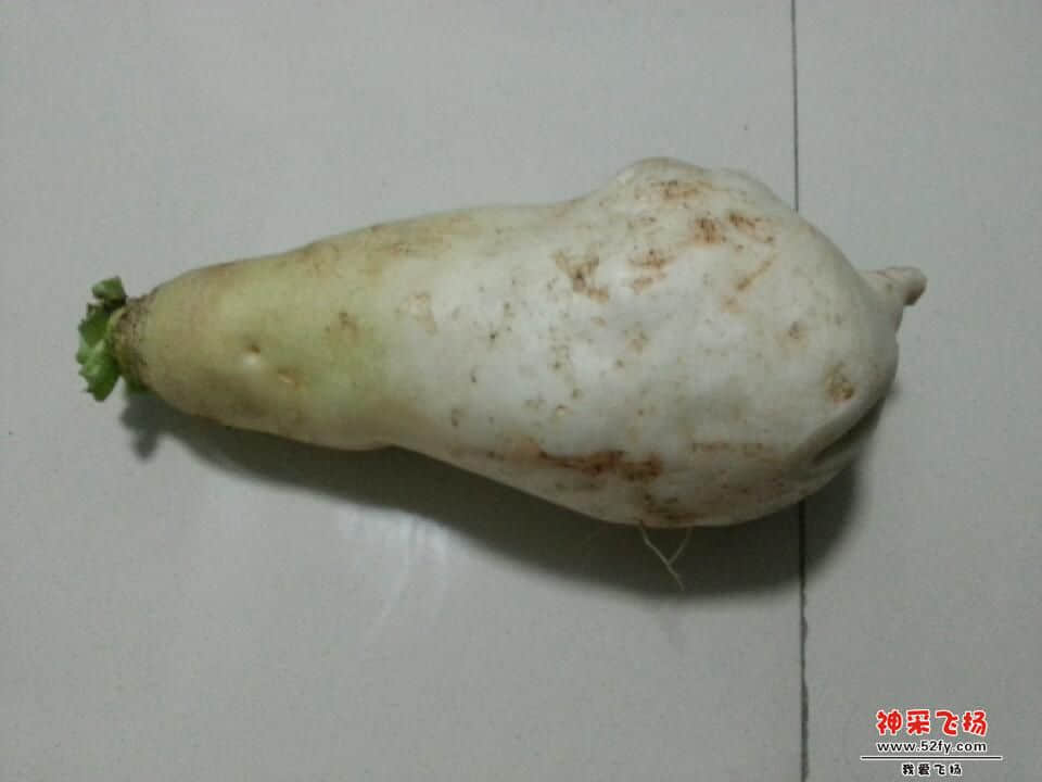 20130206_181418.jpg