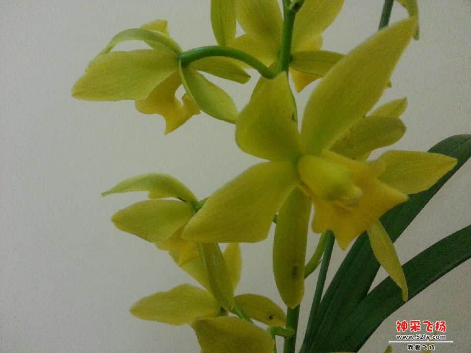 20130206_222357_3.jpg