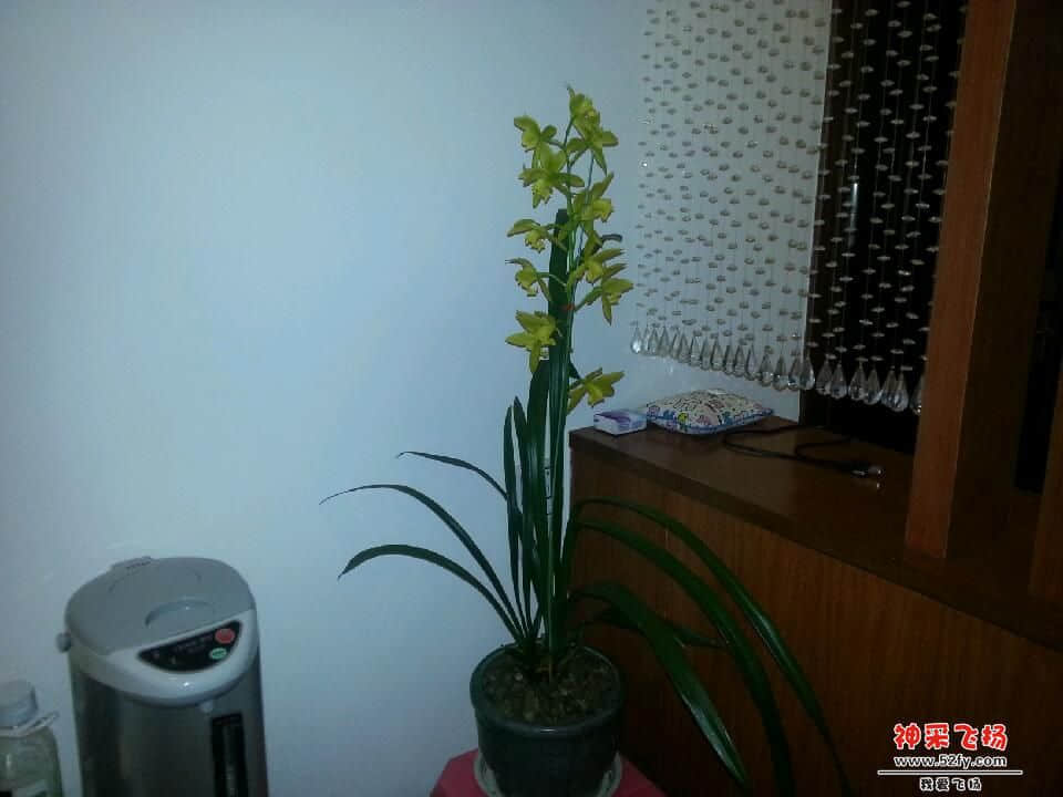 20130206_222021.jpg